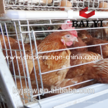 Layer Poultry Cage Specifications For 96 Birds, 120 Birds, 160 Birds